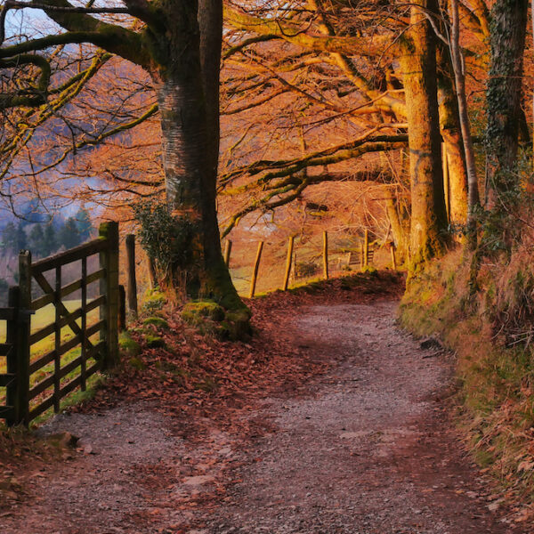 Peace and quiet walking the ancient trackways in the area